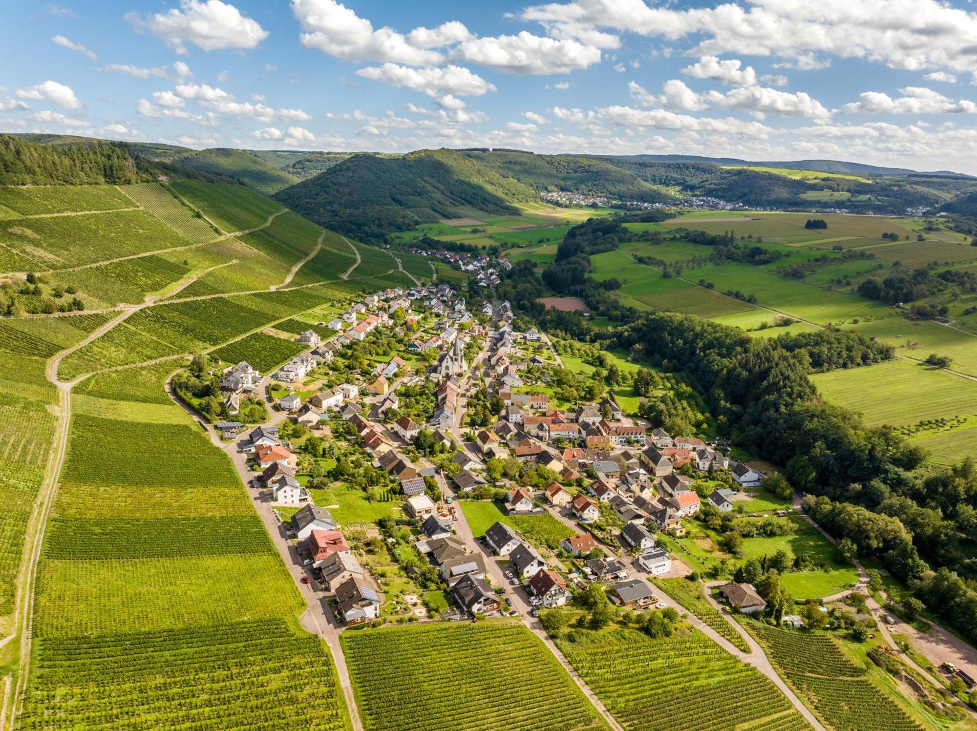 Weinhotel Restaurant Klostermuhle Ockfen Exteriér fotografie