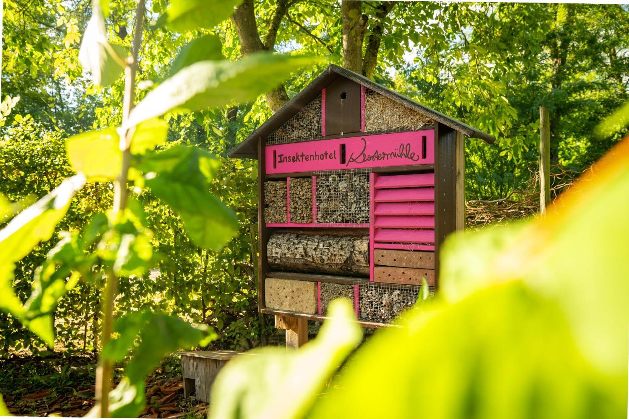 Weinhotel Restaurant Klostermuehle Ockfen Exteriér fotografie