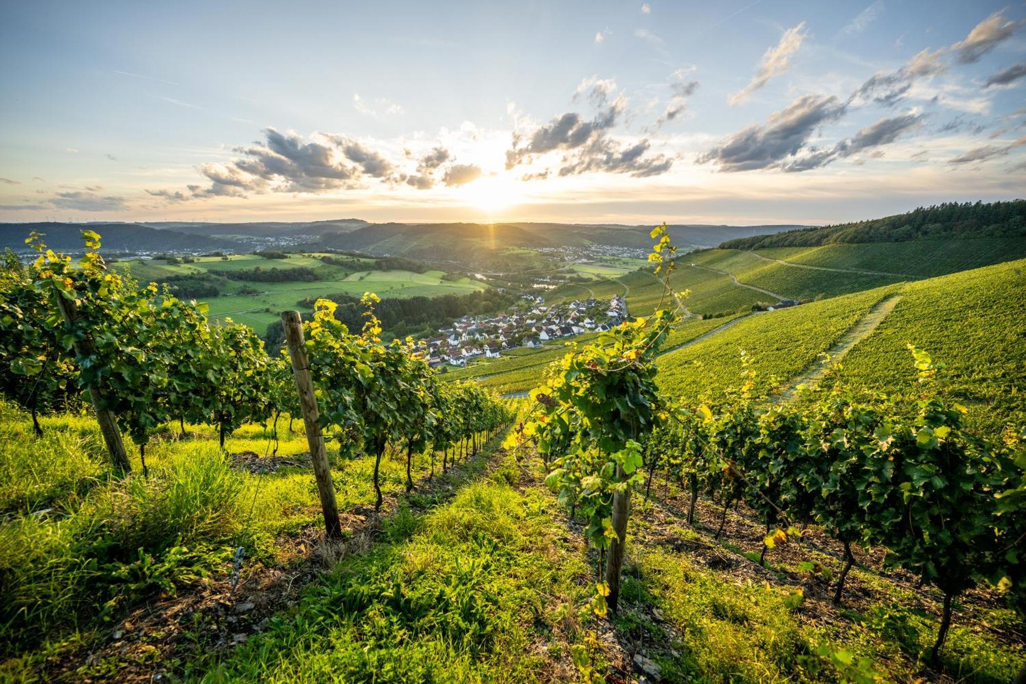 Weinhotel Restaurant Klostermuehle Ockfen Exteriér fotografie